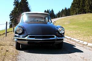 g001_1.jpg