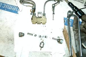 g001_1.jpg