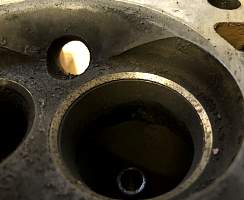 g036_36.jpg