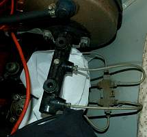 g010_10.jpg