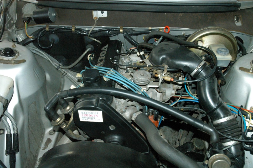 k003.JPG