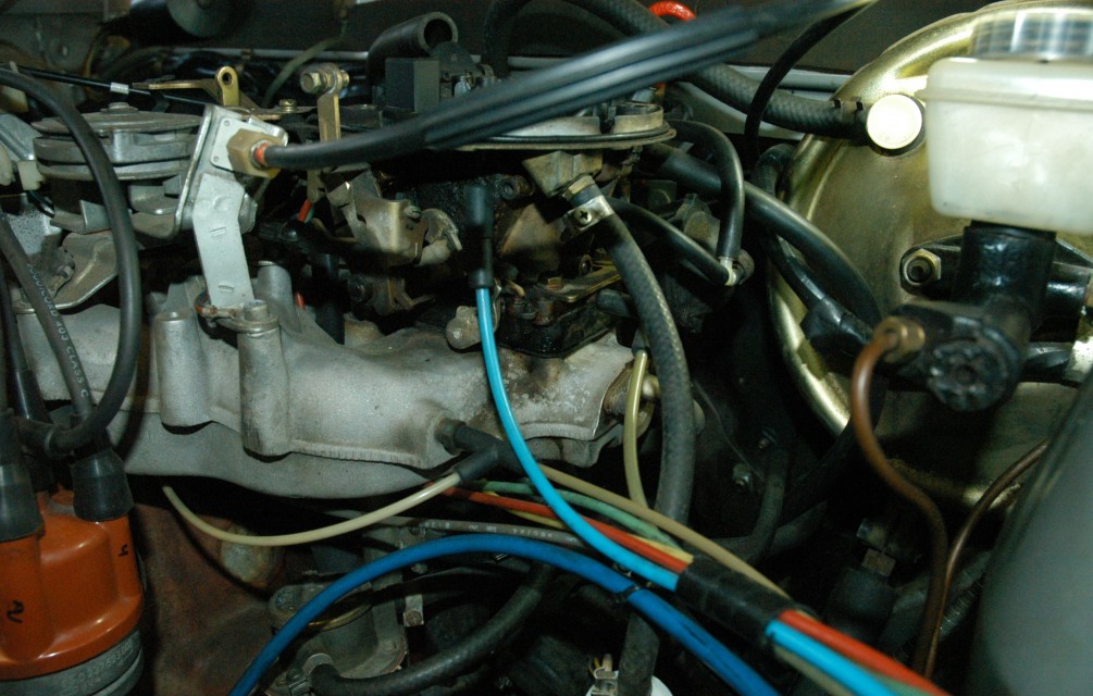 k050.JPG