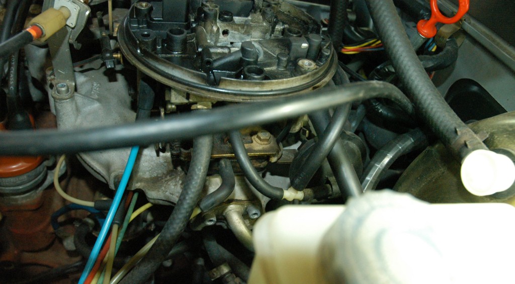 k051.JPG