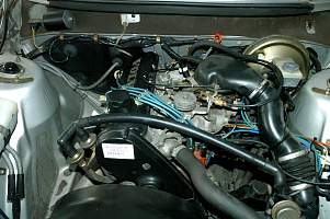 g003_3.jpg