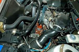 g004_4.jpg