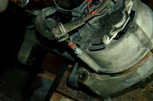 g010_10.jpg