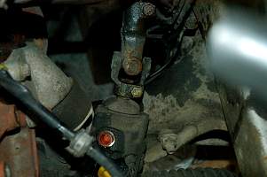 g011_11.jpg