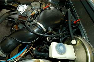 g013_13.jpg