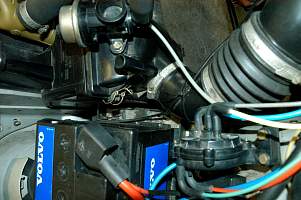 g014_14.jpg