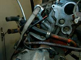 g066_66.jpg