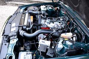 g054_54.jpg