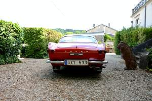 g005_5.jpg